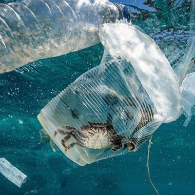 Grond en Water van het het Laboratoriumonderwijs van Ul Testende de Verontreinigingsinstantie Biologische Derdeverificatieservice