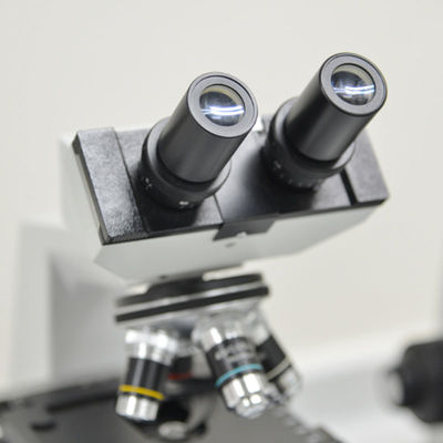 De Laboratoria Bedrijfssaa RCM van de Elektronenmicroscoopelektronika het Testende Derde testen en verificatieservices