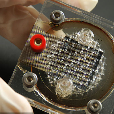 Reverberator van de Laboratoriabedrijven van de Materiaalelektronika het Testende EMC LPS SELV Derde testen en verificatieservices