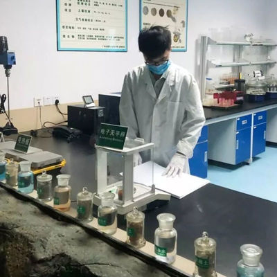 Van de van het Certificatie astmlaboratorium Testende de Derdeverificatieservice Test Milieutrilling