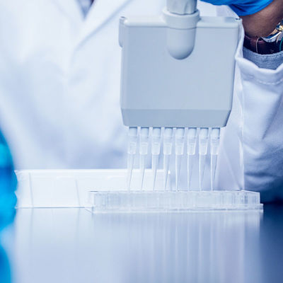 Verificatieservice het Laboratorium van de Certificatienemko van kwaliteitsfda Sgs Laboratorium de Testende Derde